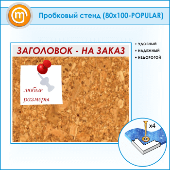 ��������� ����� � ����������, 100�80 �� (IN-06)