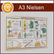 �������� ��������� ����� �Nielsen� �3 �������, ���������, ������� ������